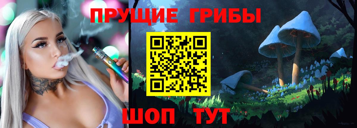 Сунжа  Псилоцибиновые грибы мицелий  Вход с VPN 