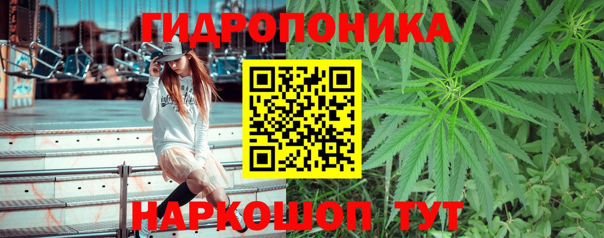 Марихуана SATIVA & INDICA  Бошки Шишки SATIVA & INDICA  Вход с VPN  МАРИХУАНА White Widow  Сунжа 
